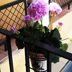 El Patio De San Bernardo