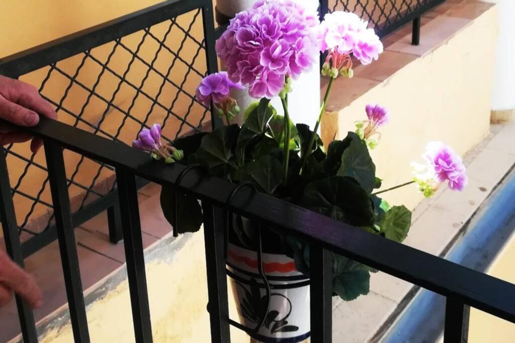 El Patio De San Bernardo Appartement *