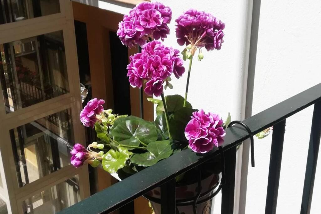 El Patio De San Bernardo Appartement