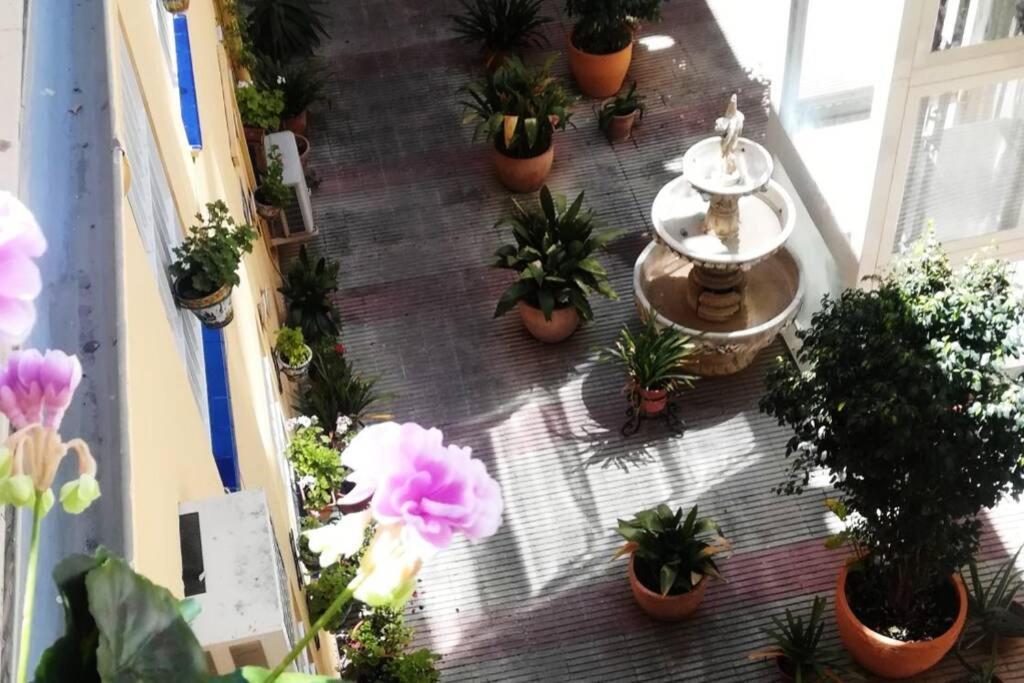 El Patio De San Bernardo *