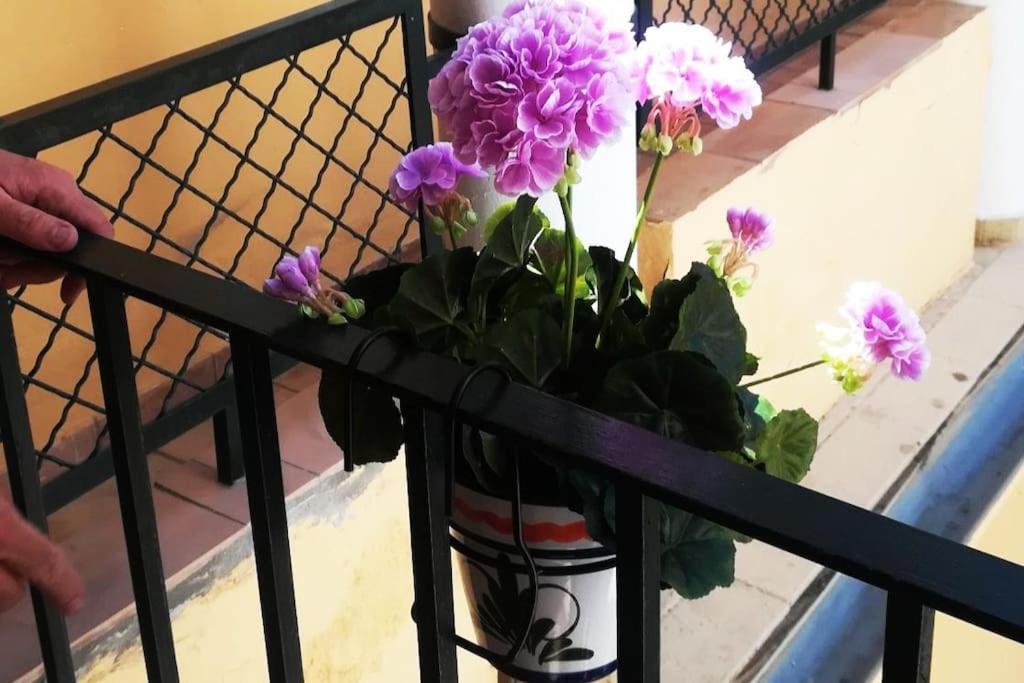 El Patio De San Bernardo Séville