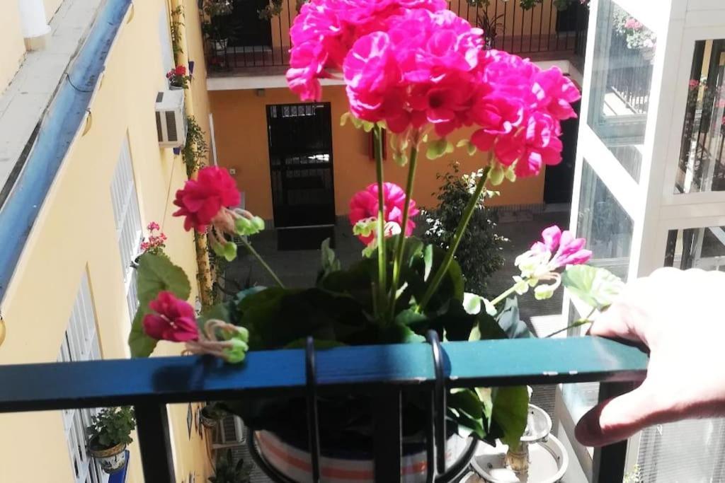 El Patio De San Bernardo Apartment Seville